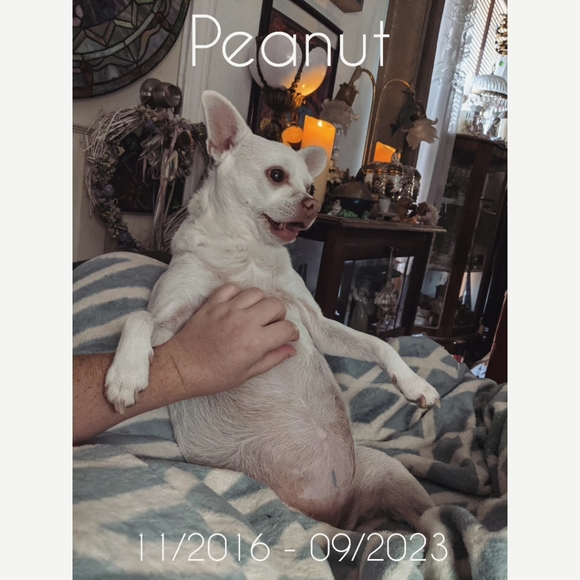 Hi I'm Maegan!! - Picture 10 of 11